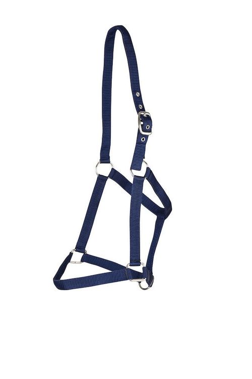 Roma Everyday Headcollar - Navy