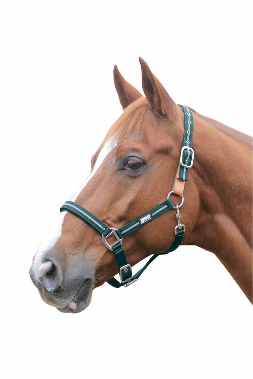 Roma Reflective Breakaway Headcollar - Hunter