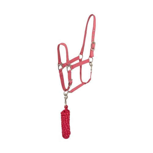Horze Rose Tonique Halter - Fruit Dove