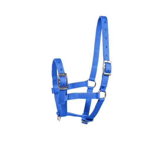 Horze Foal Halter - Blue
