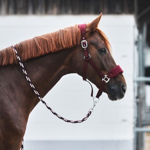 Horze Kiel Halter w/Fleece - Dark Red