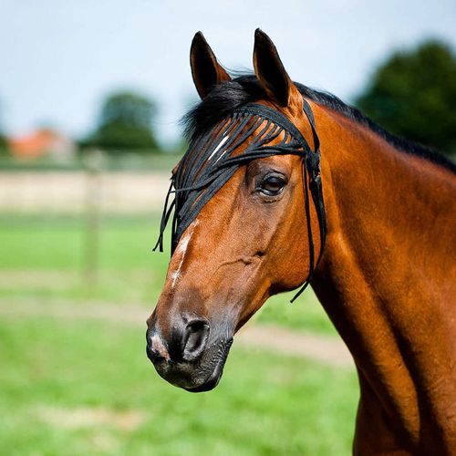 Horze Simple Fly Veil - Black