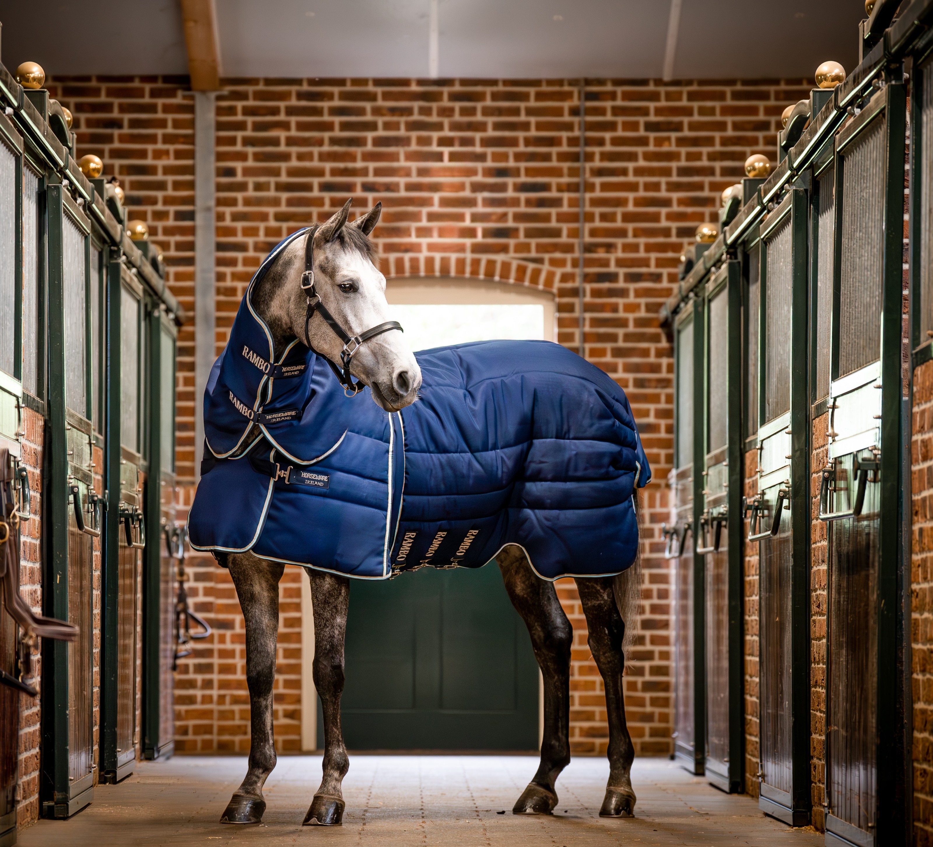 Rambo Optimo Stable Plus 400g - Navy/Beige/Baby Blue/Navy - Rambo ...