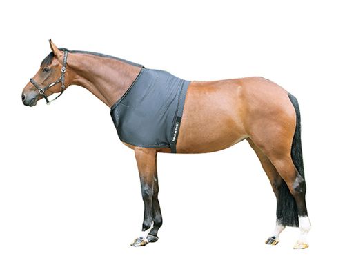 Back on Track Therapeutic Padded Shoulder Guard - Black