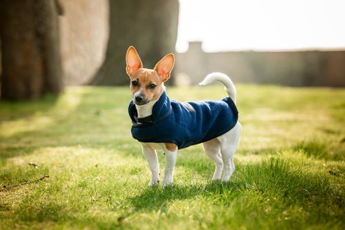 Horseware Signature Dog Fleece - Navy