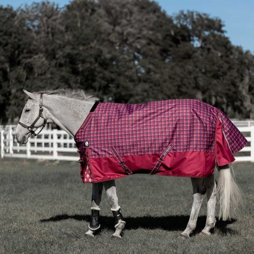 Equinavia Arktis Regular Neck Mid Weight Turnout Blanket 200g - Cranberry Red