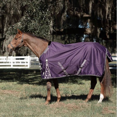 Equinavia Norse Mid Weight Turnout Blanket 200g - Grape Purple