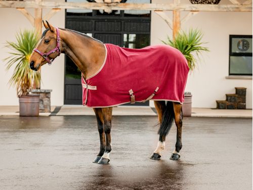 Amigo Fleece Cooler - Mulberry/Taupe