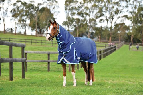 Weatherbeeta Comfitec Ultra Hardi Detach-A-Neck Medium - Blue/Bright Blue/White