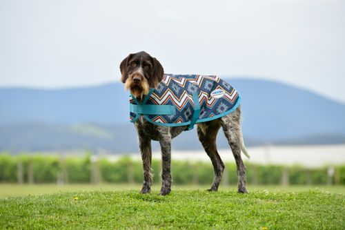 Weatherbeeta Comfitec Essential Dog Coat - Sedona Star Print