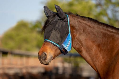 Kensington UV CatchMask w/Ears & Forelock Opening - Kentucky Blue