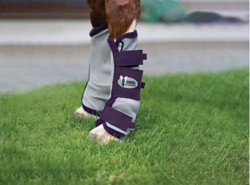READY TO SHIP: Rambo Flyboot Airmesh w/o Vamoose - Pony - Silver/Plum