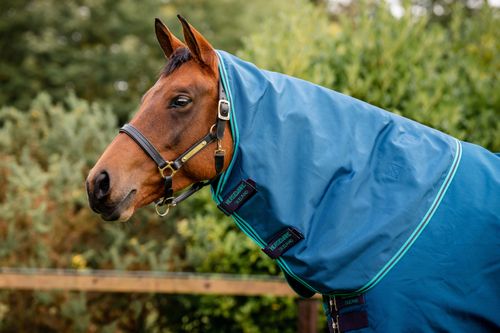 READY TO SHIP: Rhino Hood 0g - Small - Navy/Aqua/Grey/Aqua