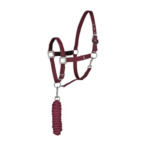 READY TO SHIP: Horze Chicago Halter and Lead Rope - Pony - Wine Red/Violet Quartz Purple