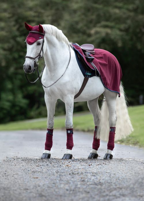 READY TO SHIP: Rambo Competition Sheet - X Large - Burgundy/Burgund/Teal/Navy
