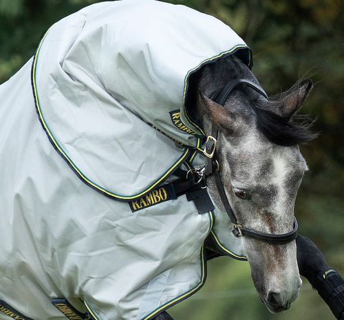 READY TO SHIP: Rambo Duo Hood 100g - Large - Grey/Teal/Gold/Navy