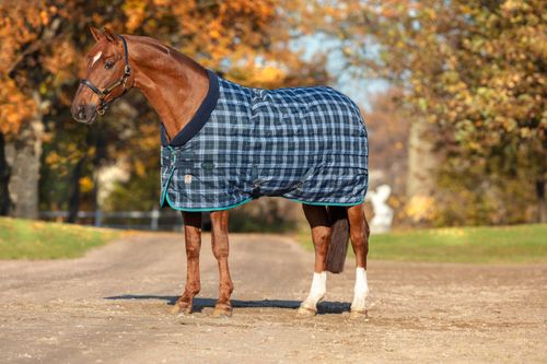 READY TO SHIP: Rhino Original Stable Blanket 450g - 84 - Navy Check/Teal