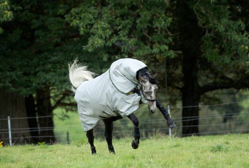 READY TO SHIP: Rambo Duo Bundle Turnout - 87 - Grey/Teal/Gold/Navy