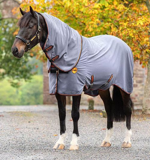READY TO SHIP: Rambo Ionic Stable Sheet - 60 - Grey/Black/Orange