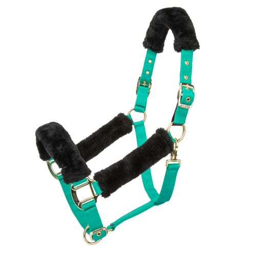Shires ARMA Fleece Headcollar - Teal
