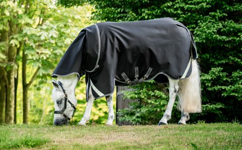 Rambo Supreme Turnout 50g - Black/Thunderstorm Grey/Silver