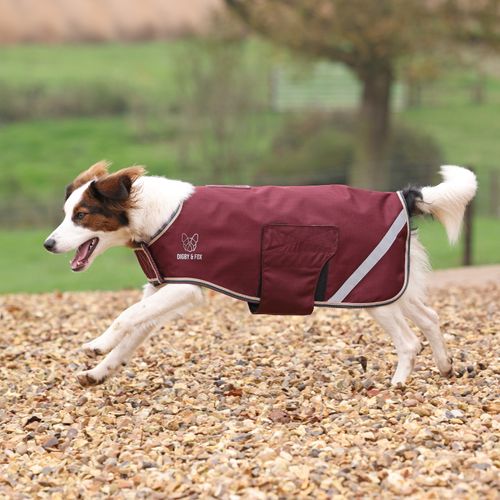 Digby & Fox Lite Waterproof Dog Coat - Maroon