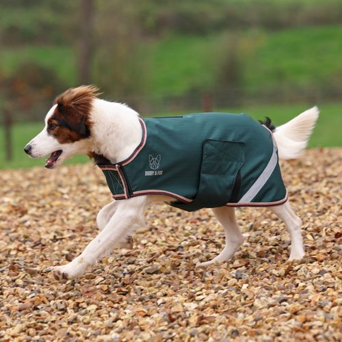 Digby & Fox Lite Waterproof Dog Coat - Green