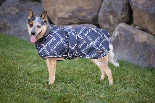 SALE RACK: Kensington Signature Dog Coat w/Chest Cover - Small - Deluxe Black