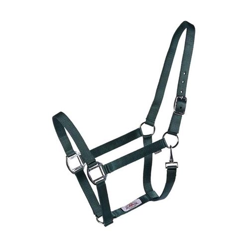 READY TO SHIP: Western Rawhide Country Legend Economy Halter - Pony - Hunter Green