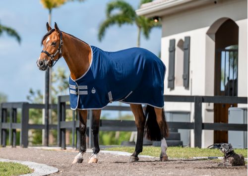 Amigo Polyester Stable Sheet - Navy/Titanium Grey/Silver