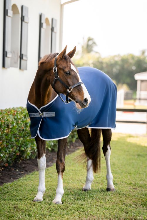 Amigo Jersey Pony Cooler - Navy/Titanium Grey/Silver
