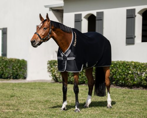 Rambo Airmax Disc Front Cooler - Black/Thunderstorm Grey/Silver