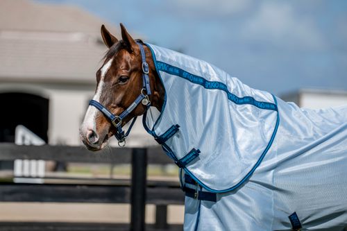 Amigo Bug Rug Hood - Azure Blue/Navy/Electric Blue