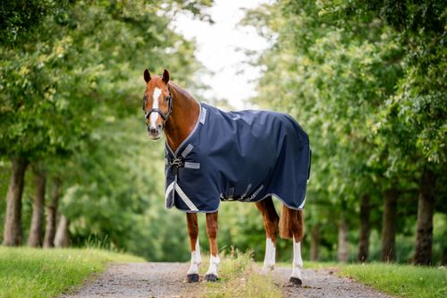 Rambo 1680D Turnout 250g VL - Navy/Thunderstorm Grey/Silver