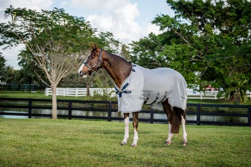 Rambo Protector - Silver/Navy/White/Beige