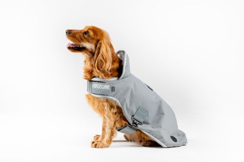 Horseware Newmarket Dog Coat - Witney Charcoal