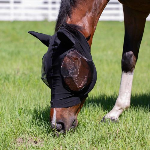 Equinavia Bug Out Fly Mask - Black