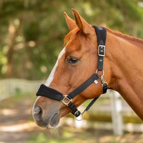 Equinavia Saga Fleece Padded Breakaway Halter - Black