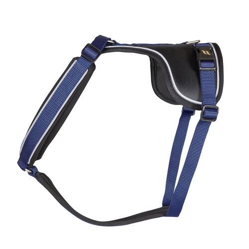 Back on Track Max Dog Harness - Blue