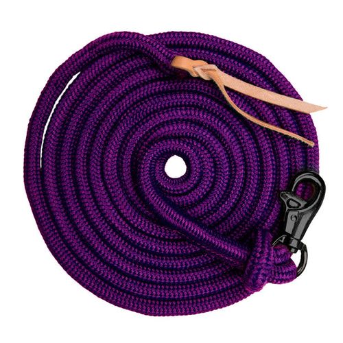 Kensington 15ft Solid Color Clinician Training Lead - Purple w/Black Nickle