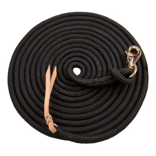 Kensington 15ft Solid Color Clinician Training Lead - Black w/Goldtone