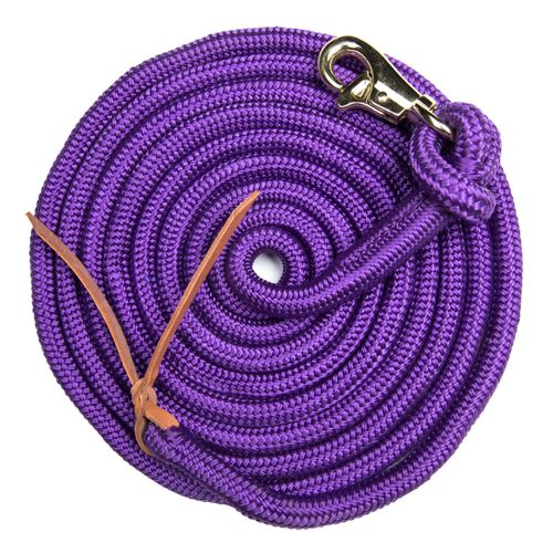 Kensington 25ft Solid Color Clinician Training Lead - Purple