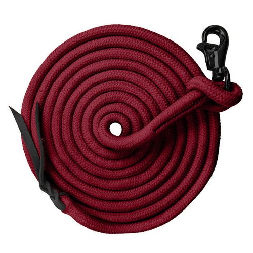 Kensington 15ft Solid Color Clinician Training Lead - Red/Black Nickle