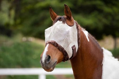 Kensington Fly Mask w/Fleece Trim & Dual Ear Holes - Desert Sand