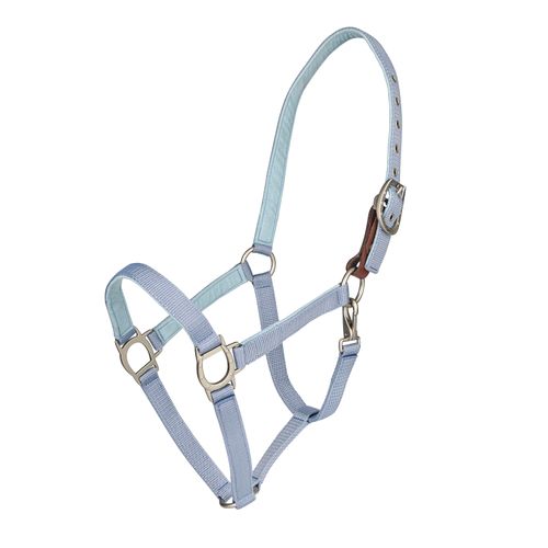 Ovation Lucky Breakaway Halter - Sea Grey