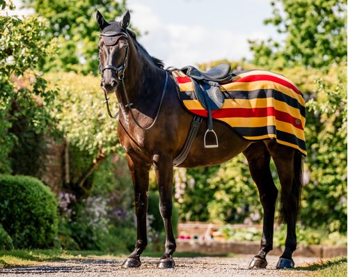 Horseware Newmarket Exercise Sheet - Witney Gold