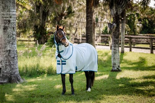 Amigo Bug Rug XL Plus - Azure Blue/Navy/Electric Blue