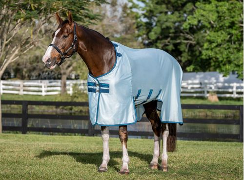 Amigo Bug Buster - Azure Blue/Navy/Electric Blue