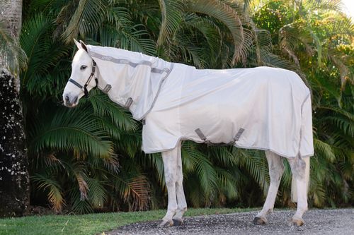 Amigo Integrated Fly Sheet - Silver/Titanium Grey/Silver