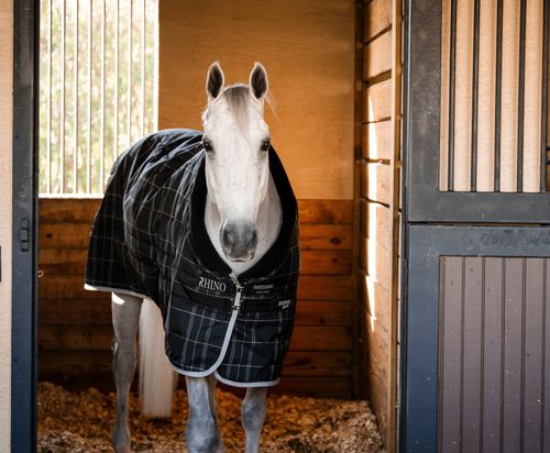 Rhino Stable 100g - Black/Grey/White/Gray